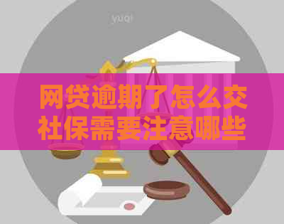 网贷逾期了怎么交社保需要注意哪些问题