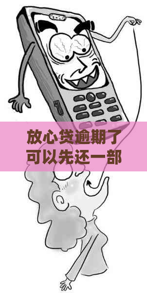 放心贷逾期了可以先还一部分吗