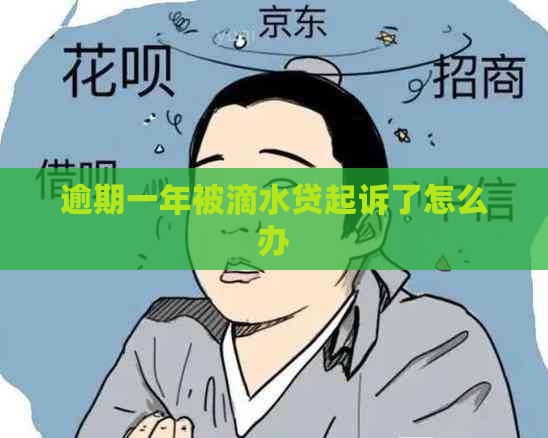 逾期一年被滴水贷起诉了怎么办