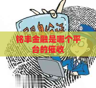 铭丰金融是哪个平台的