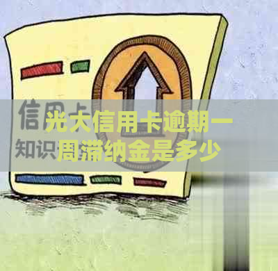 光大信用卡逾期一周滞纳金是多少