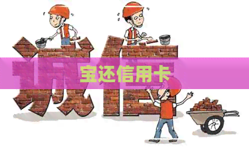 宝还信用卡