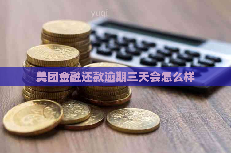 美团金融还款逾期三天会怎么样