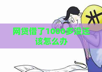 网贷借了1000多没还该怎么办