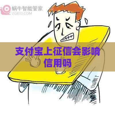 支付宝上会影响信用吗