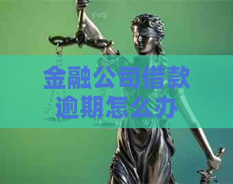 金融公司借款逾期怎么办