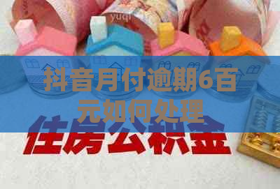 抖音月付逾期6百元如何处理