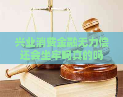 兴业消费金融无力偿还会坐牢吗真的吗