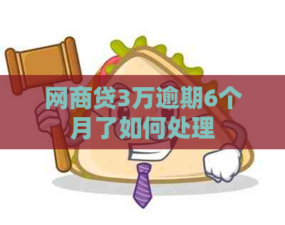 网商贷3万逾期6个月了如何处理