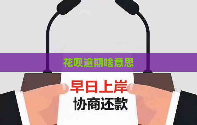 花呗逾期啥意思