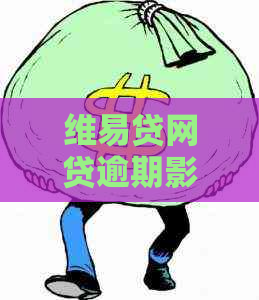 维易贷网贷逾期影响有多大