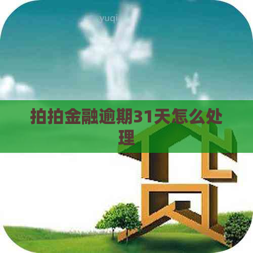 拍拍金融逾期31天怎么处理