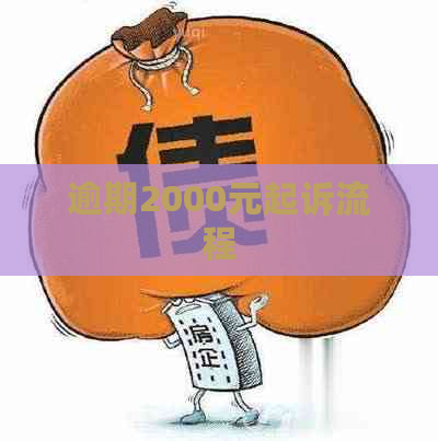 逾期2000元起诉流程