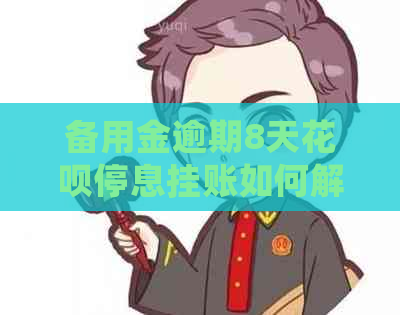 备用金逾期8天花呗停息挂账如何解决