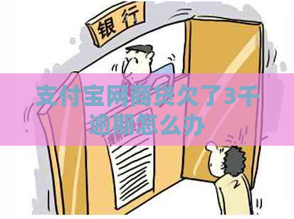 支付宝网商贷欠了3千逾期怎么办
