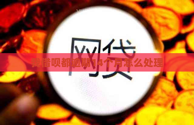 我借呗都逾期14个月怎么处理