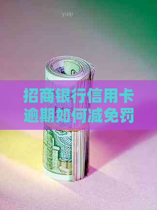 招商银行信用卡逾期如何减免罚息