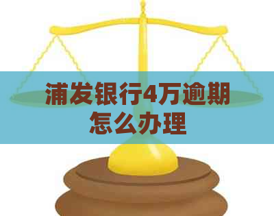 浦发银行4万逾期怎么办理