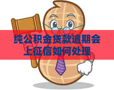纯公积金贷款逾期会上如何处理