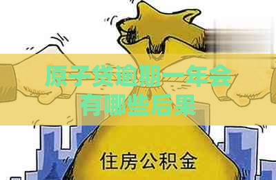 原子贷逾期一年会有哪些后果