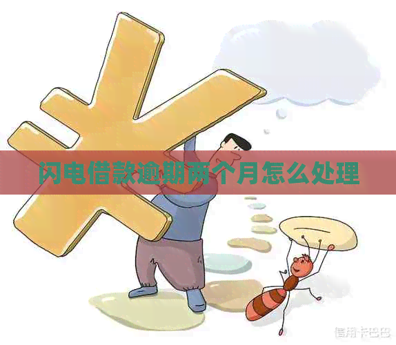 闪电借款逾期两个月怎么处理
