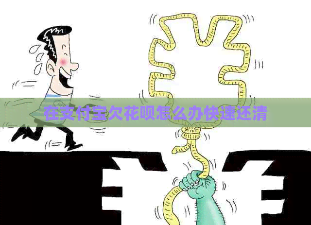 在支付宝欠花呗怎么办快速还清