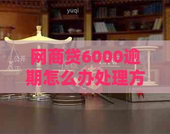 网商贷6000逾期怎么办处理方式