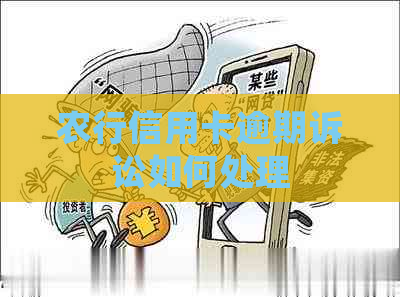 农行信用卡逾期诉讼如何处理