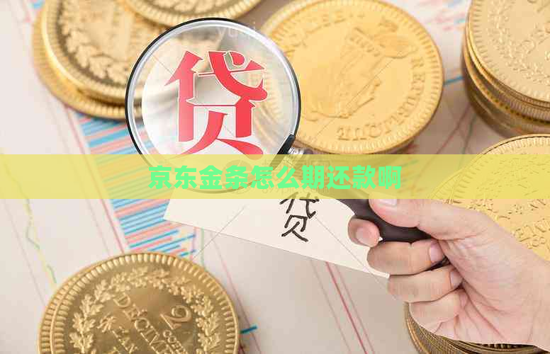 京东金条怎么期还款啊