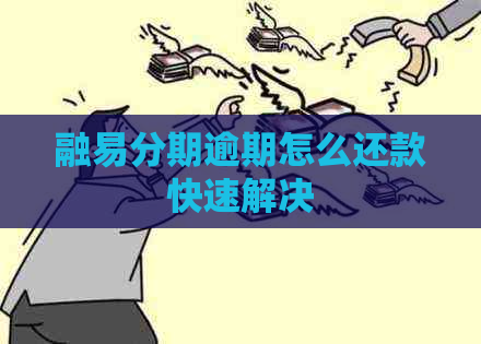 融易分期逾期怎么还款快速解决