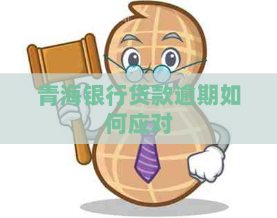 青海银行贷款逾期如何应对