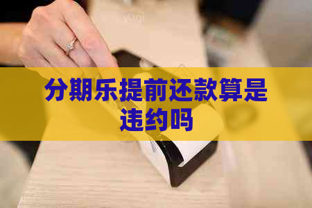 提前还款算是违约吗