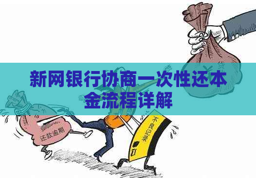 新网银行协商一次性还本金流程详解