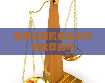 美团逾期罚息是全部借款算的吗