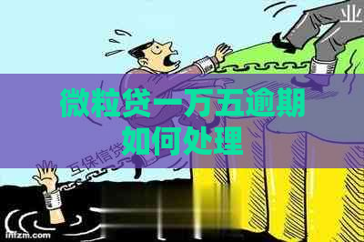 微粒贷一万五逾期如何处理