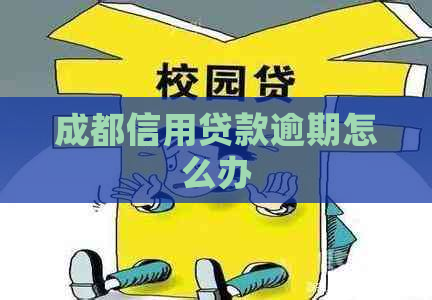 成都信用贷款逾期怎么办