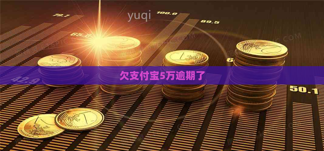 欠支付宝5万逾期了