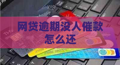 网贷逾期没人催款怎么还