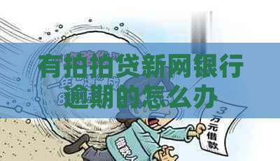有新网银行逾期的怎么办