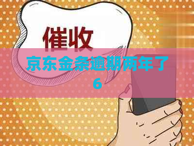 京东金条逾期两年了6