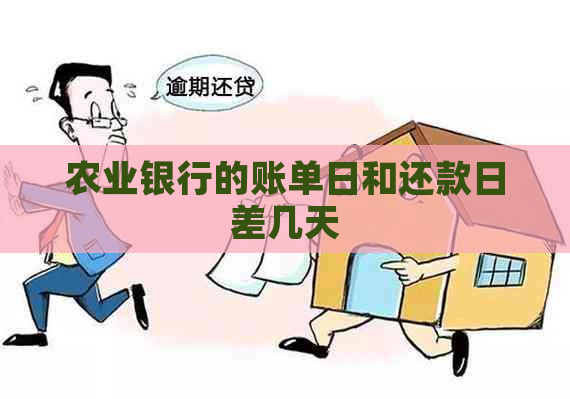 农业银行的账单日和还款日差几天