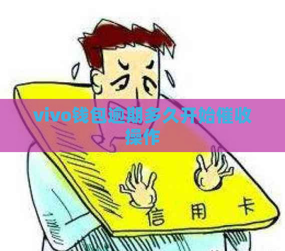 vivo钱包逾期多久开始操作
