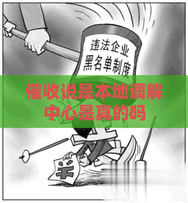 说是本地调解中心是真的吗