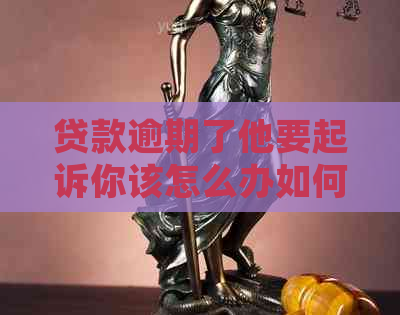 贷款逾期了他要起诉你该怎么办如何解决