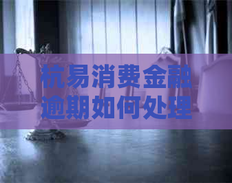 杭易消费金融逾期如何处理