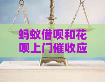 蚂蚁借呗和花呗上门应该怎么应对