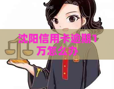 沈阳信用卡逾期1万怎么办