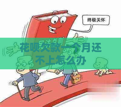 花呗欠款一个月还不上怎么办