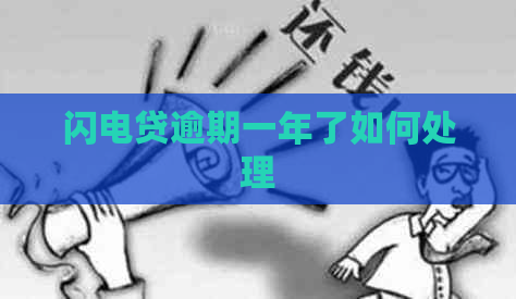 闪电贷逾期一年了如何处理