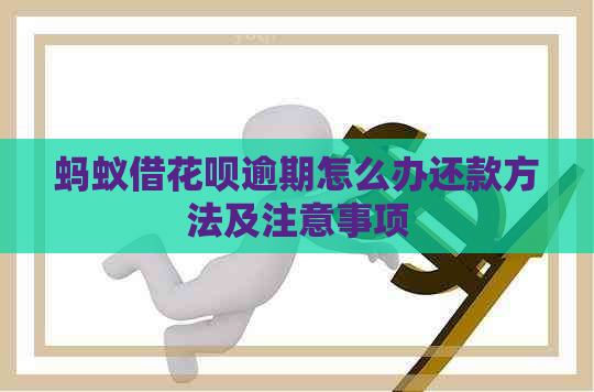 蚂蚁借花呗逾期怎么办还款方法及注意事项